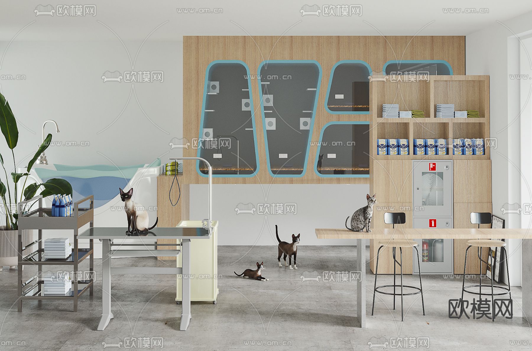 现代宠物护理生活馆3d模型下载