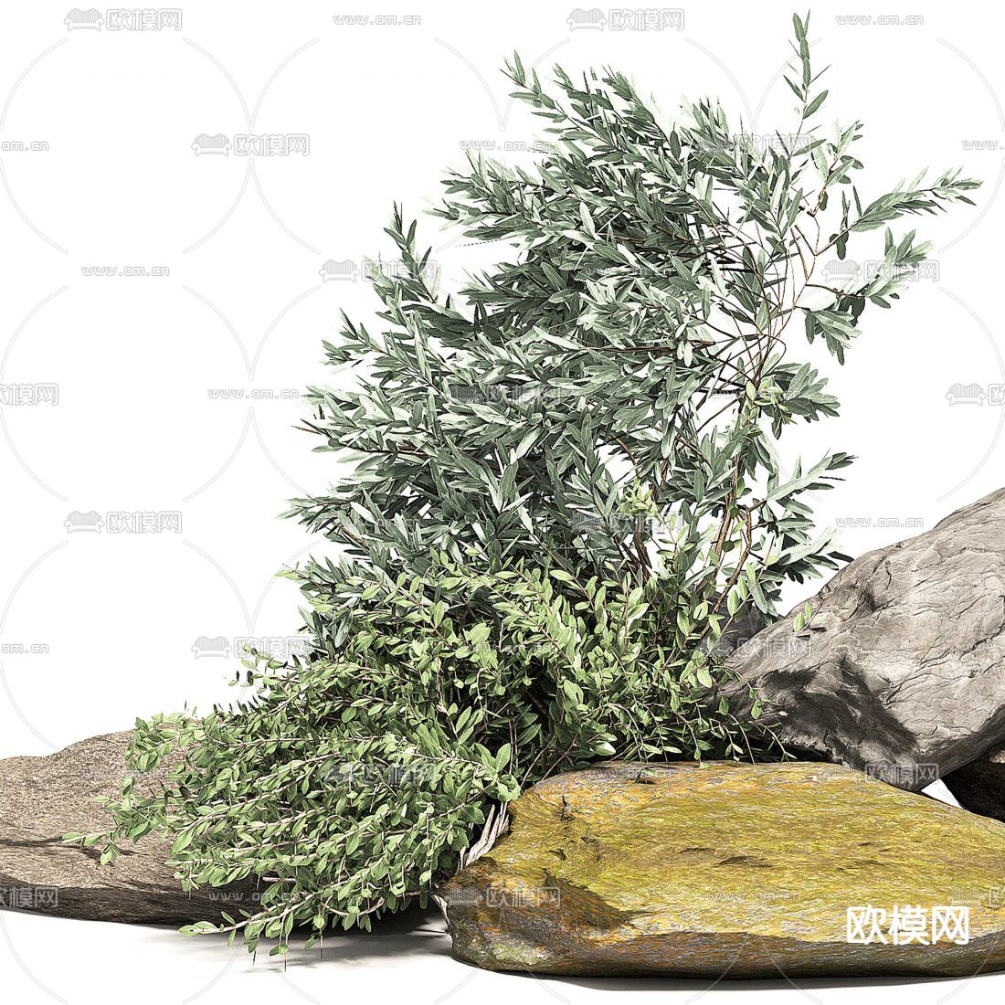 现代石头植物园艺小品3d模型下载（渲染图5）