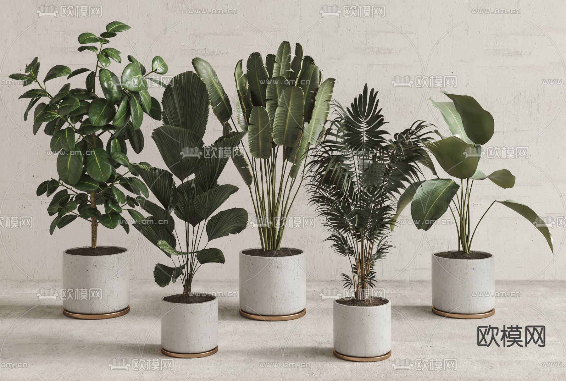 现代绿植盆栽3d模型下载