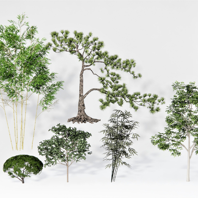  现代植物su模型 