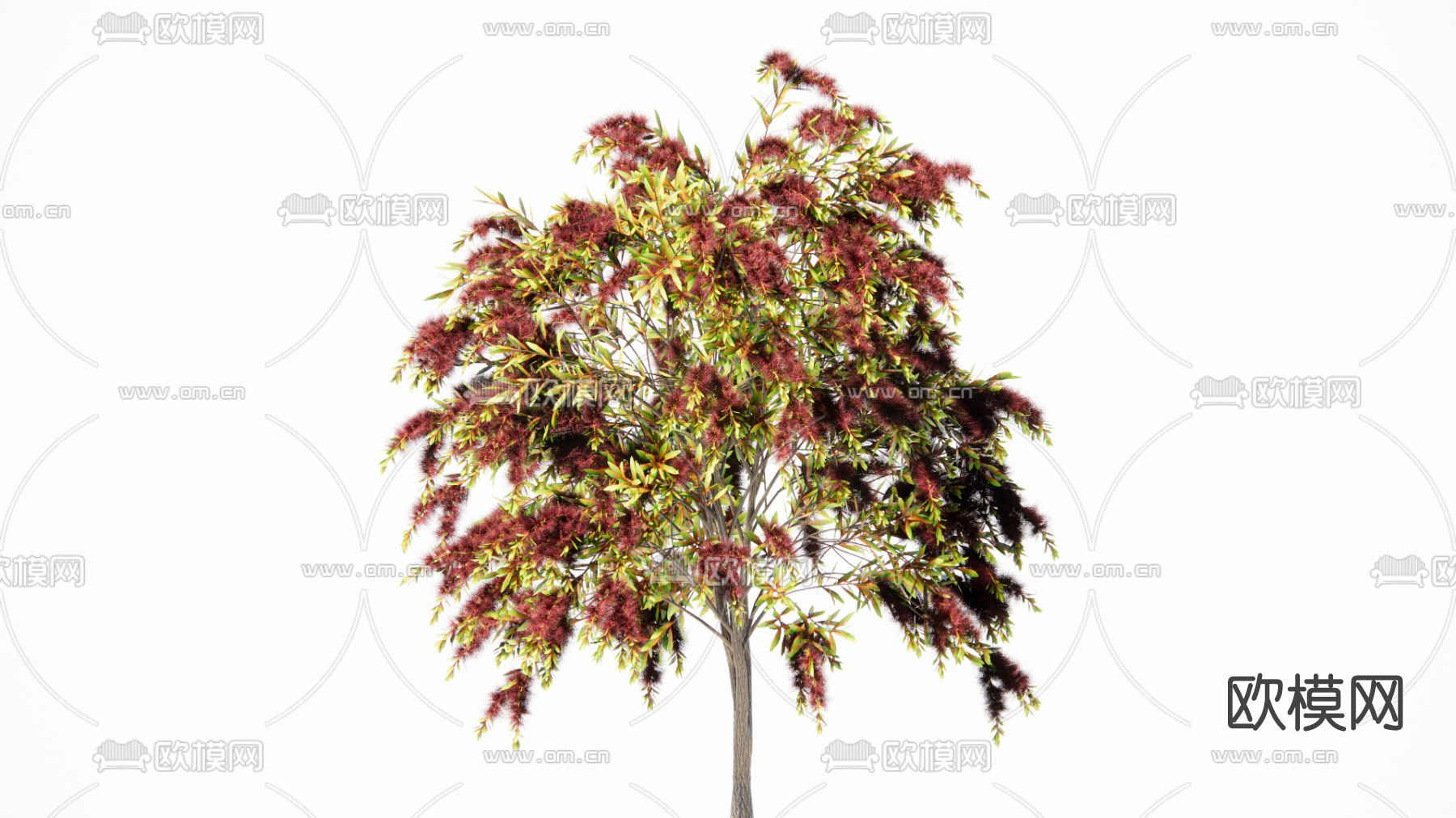 现代绿植树su模型下载