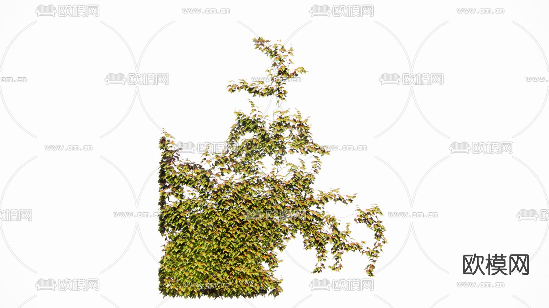 现代植物墙su模型