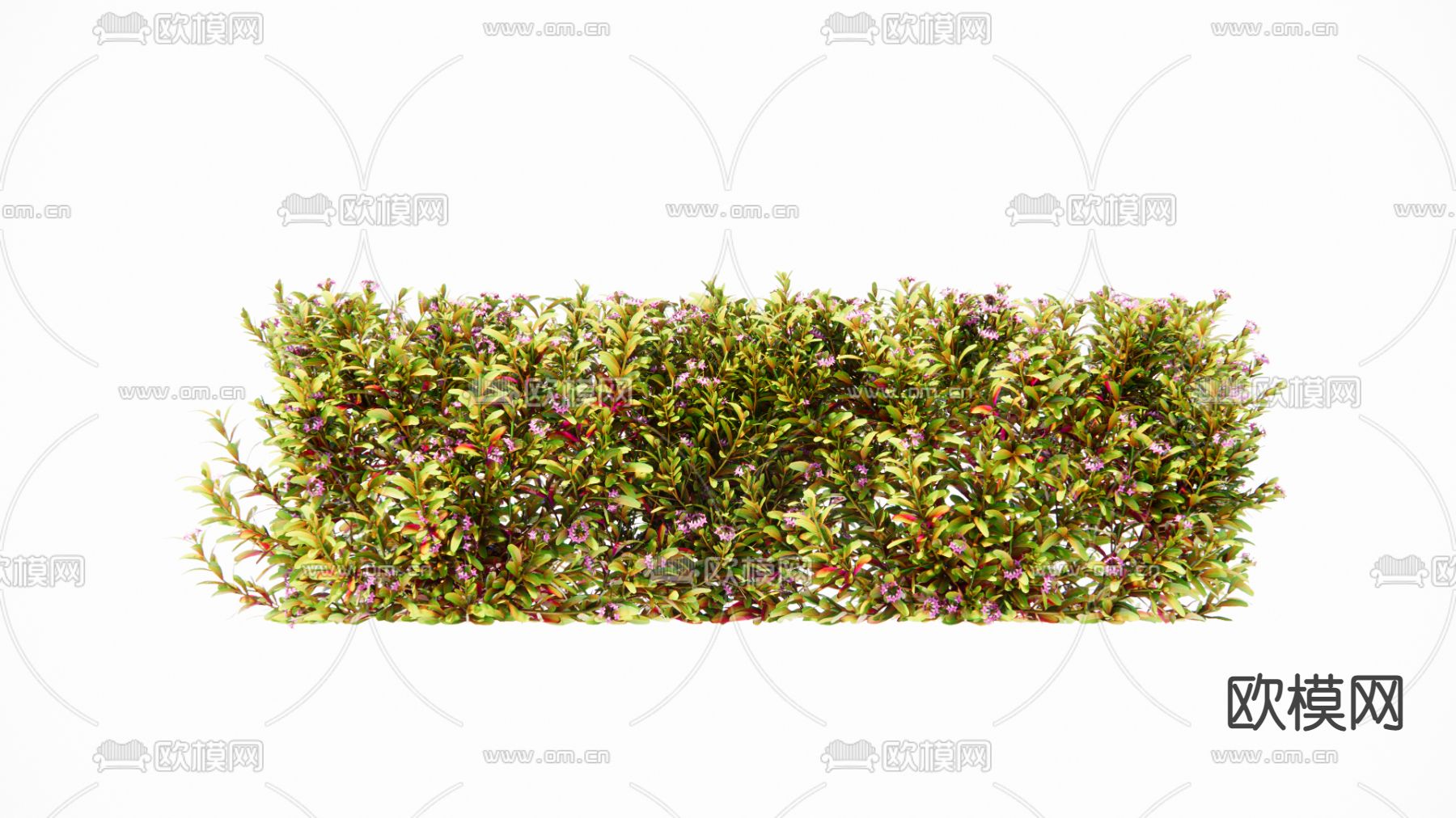 现代灌木su模型下载