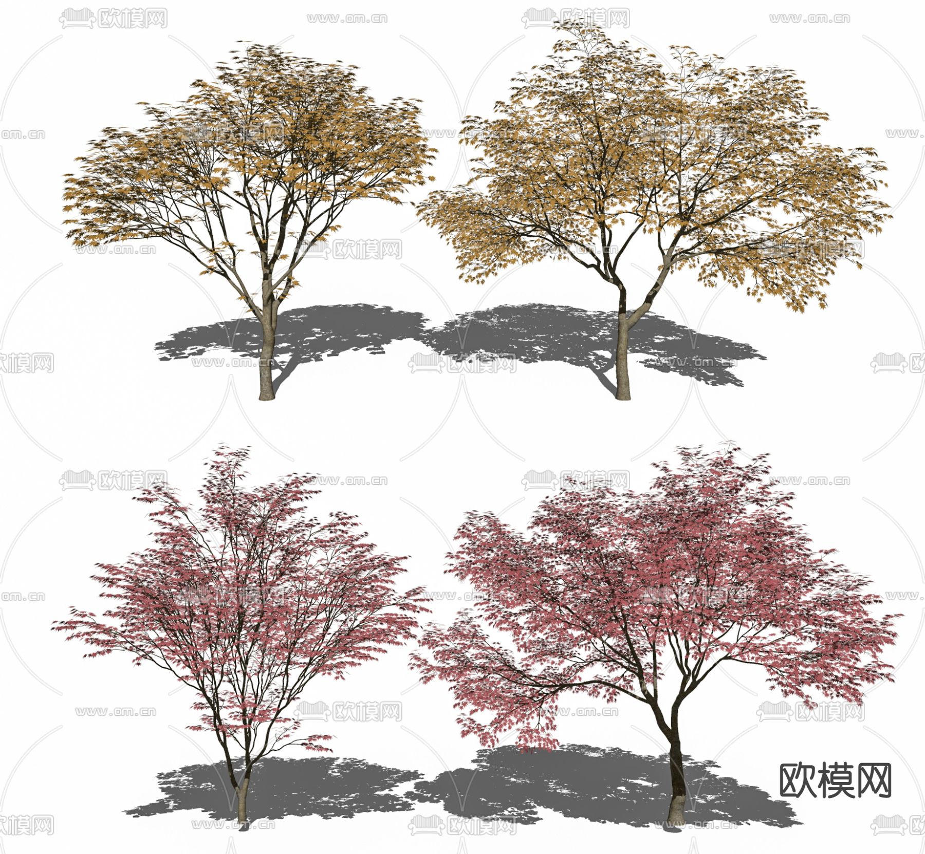 现代景观树su模型
