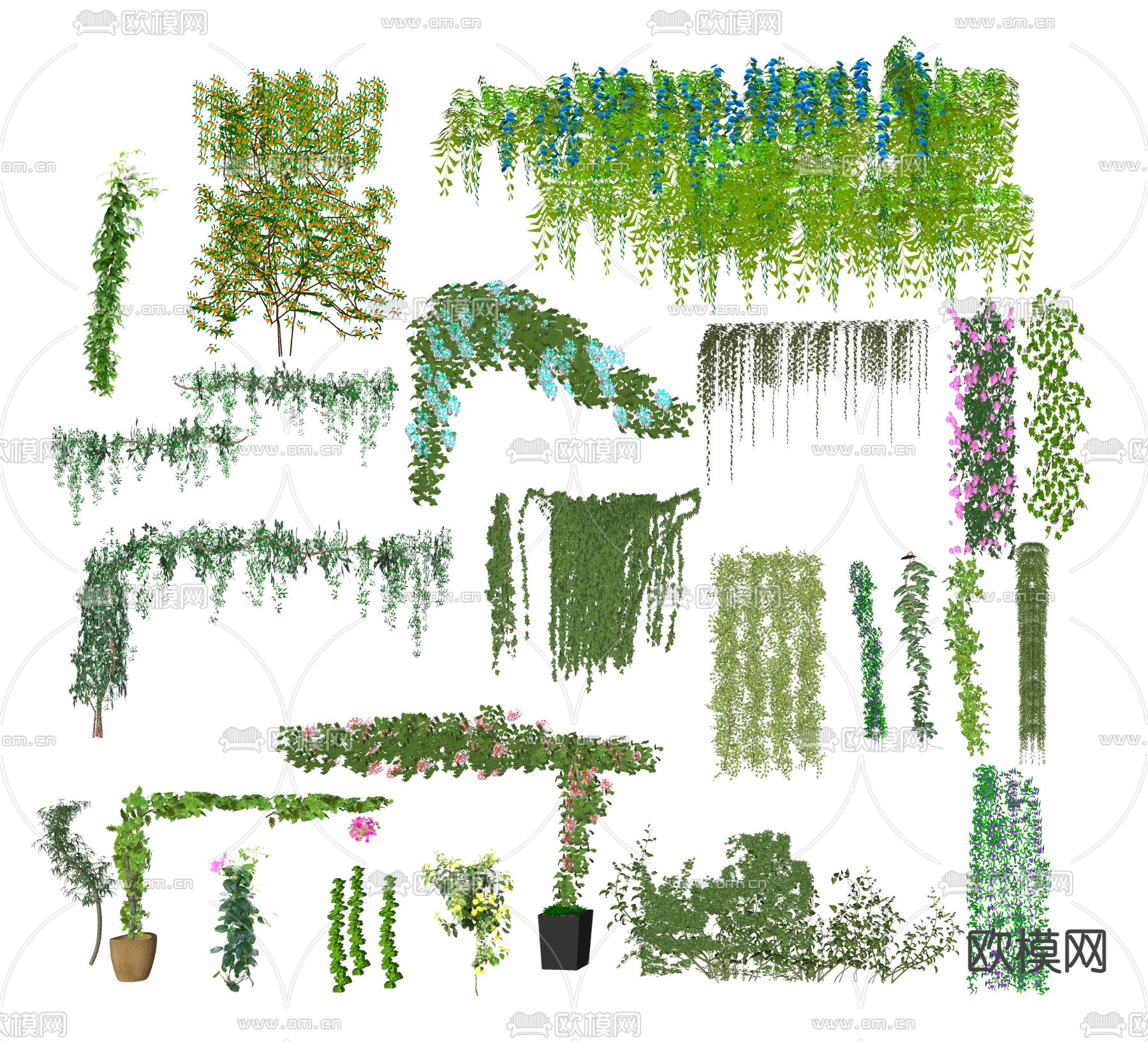 现代藤本植物爬藤藤曼su模型
