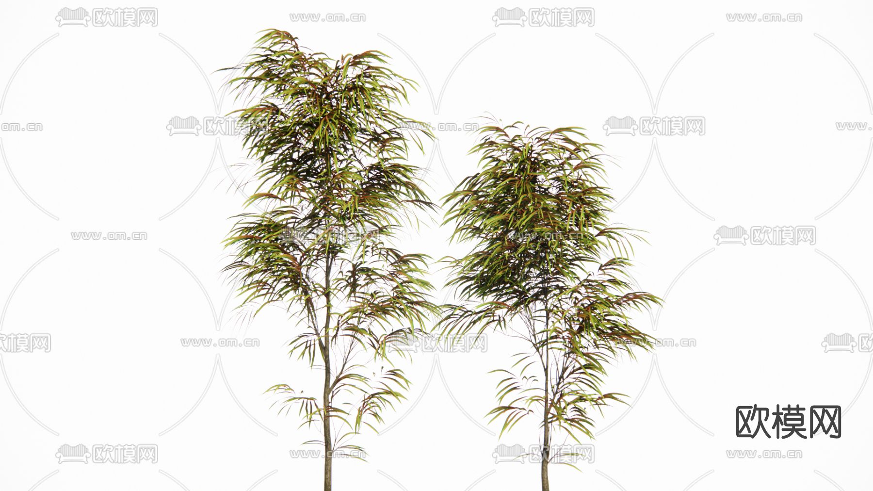 现代绿植树su模型