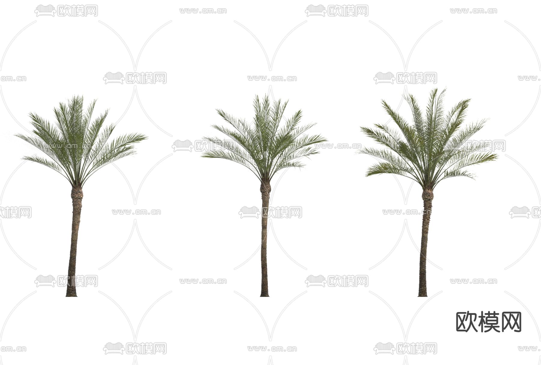 现代绿植景观树免费3d模型下载