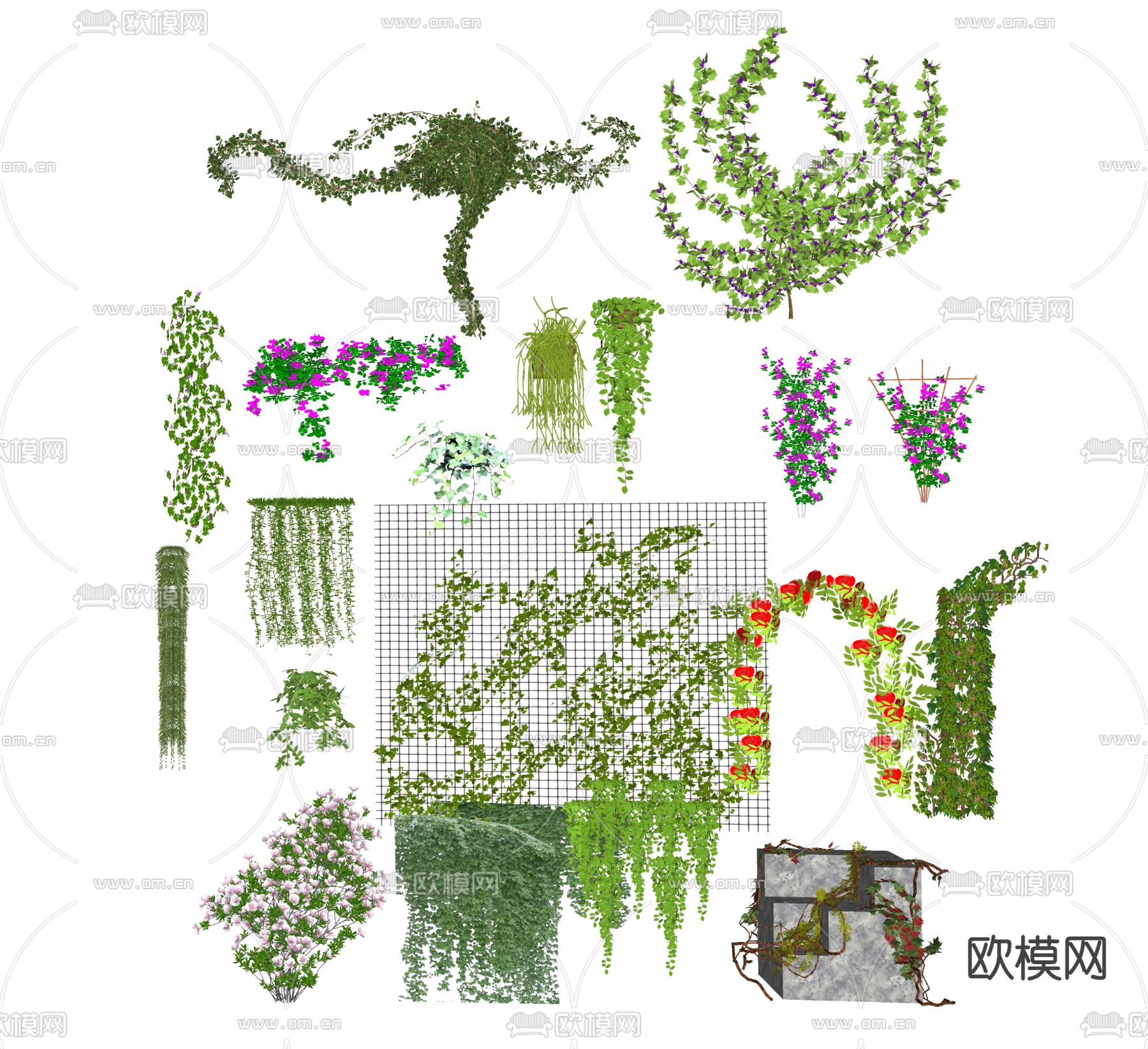 现代藤本植物爬藤藤曼su模型