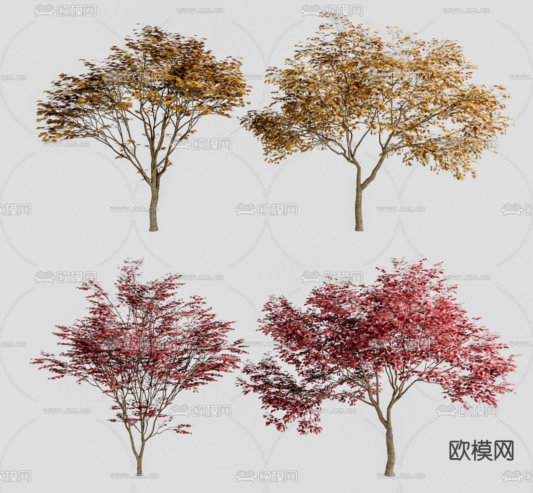 现代景观树su模型