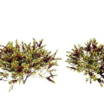  现代灌木丛su模型 