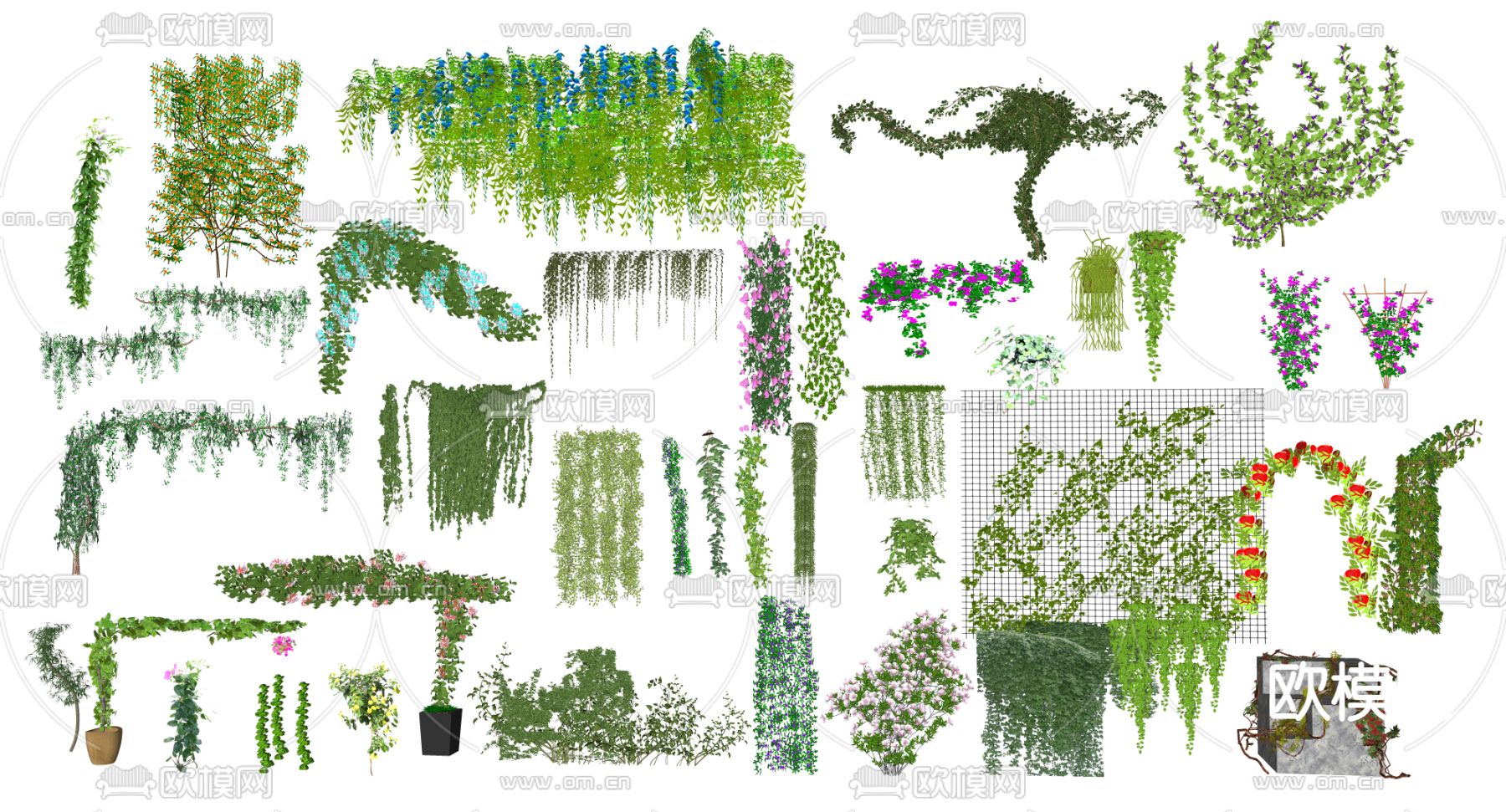 现代藤本植物爬藤藤曼su模型