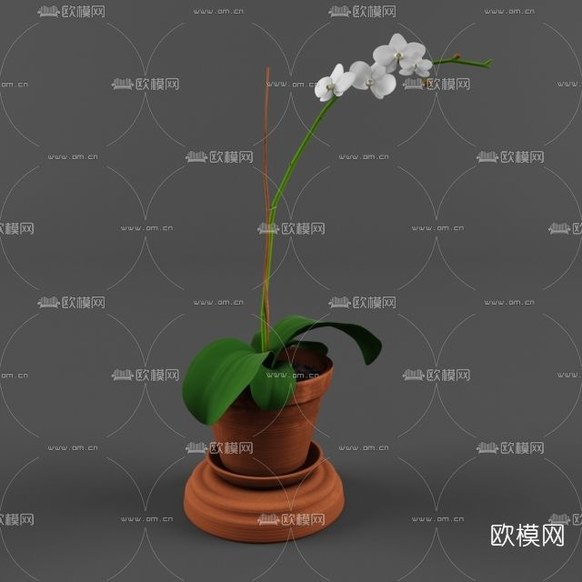 现代花艺盆栽免费3d模型下载