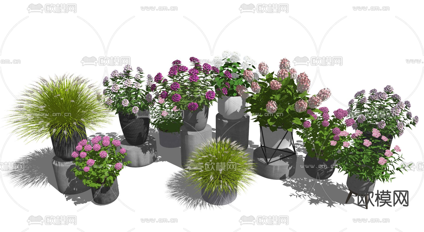 现代花卉盆栽su模型
