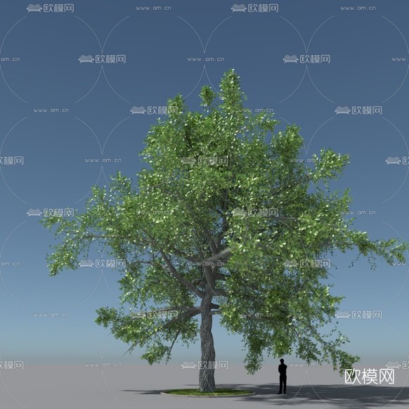 现代绿植树木免费3d模型下载
