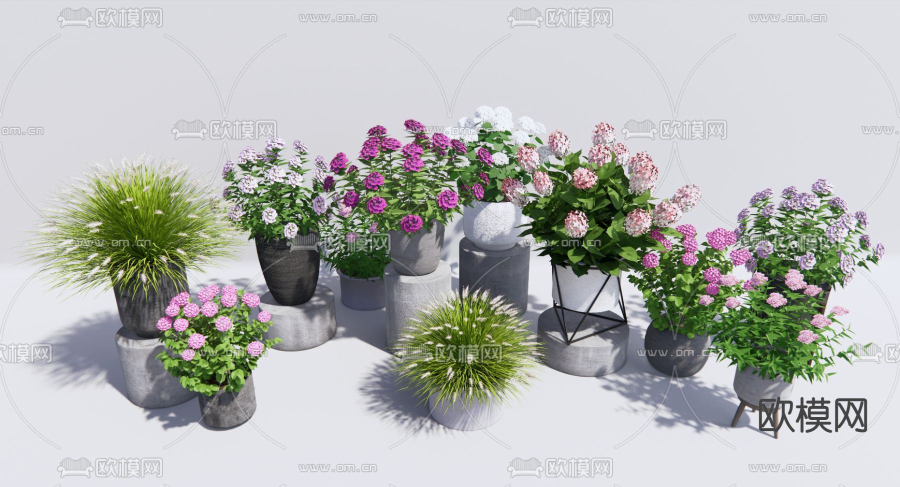 现代花卉盆栽su模型