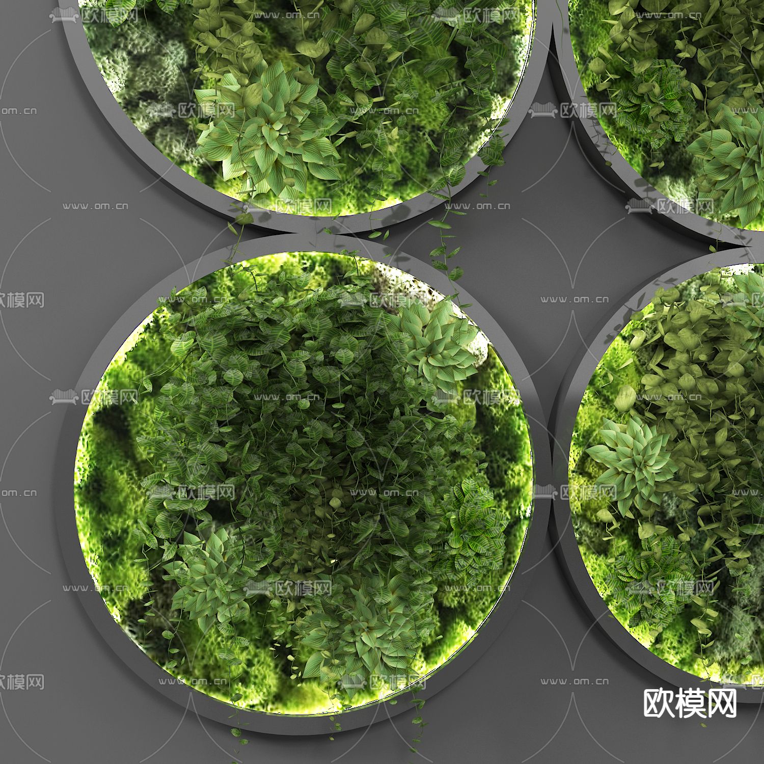 现代圆形植物墙挂件3d模型