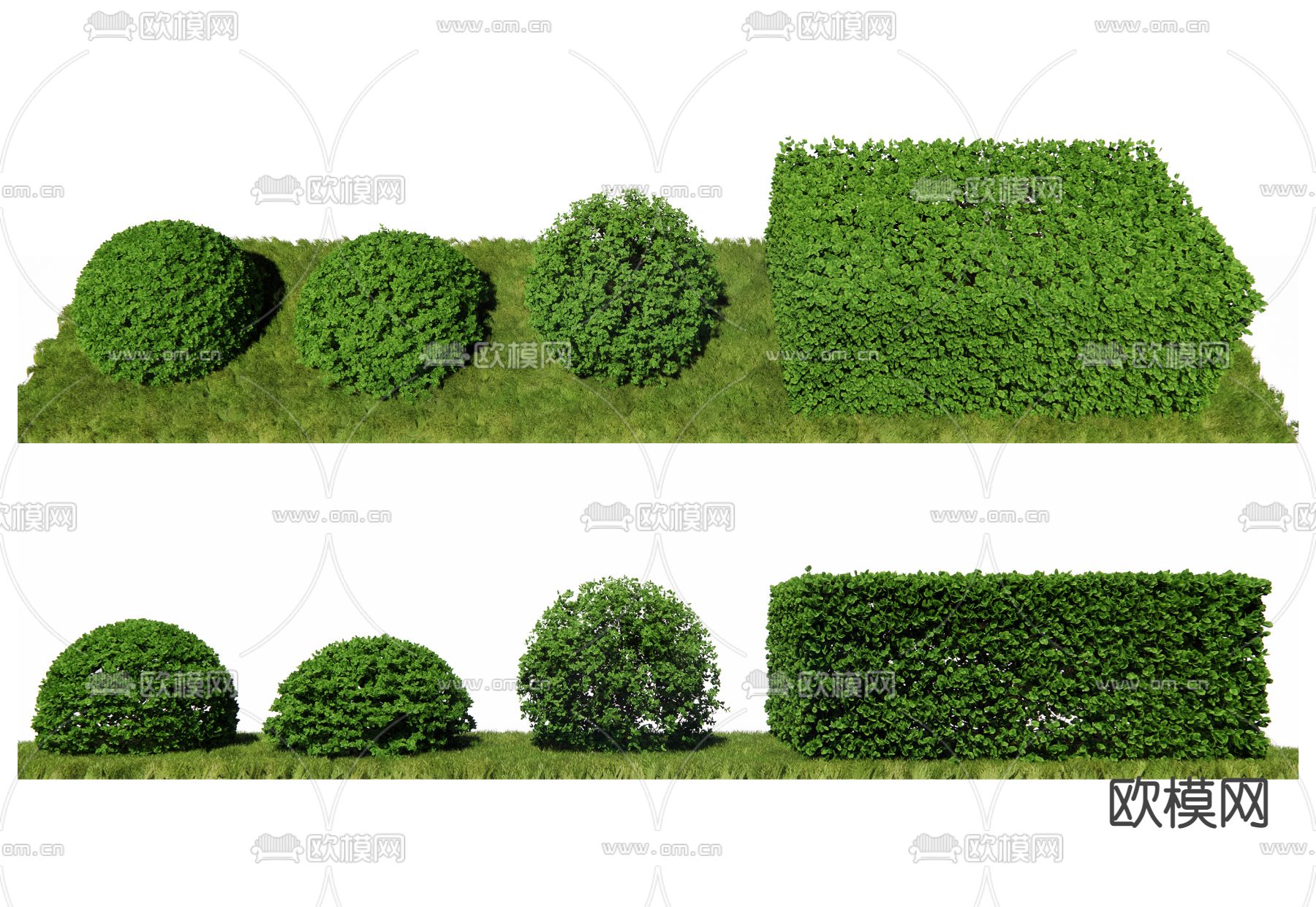 现代灌木su模型下载（渲染图2）