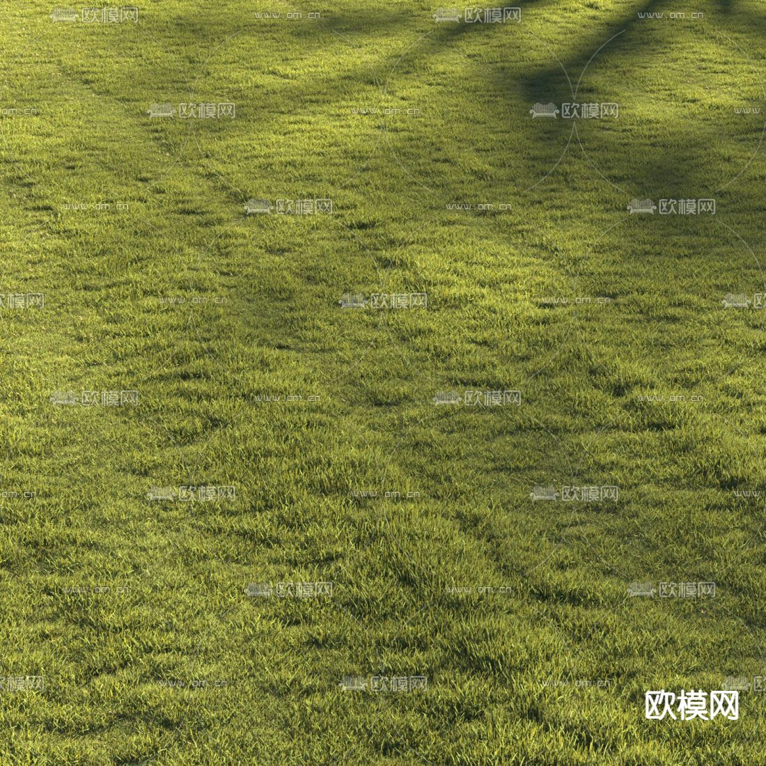 现代草坪草地3d模型下载（渲染图2）