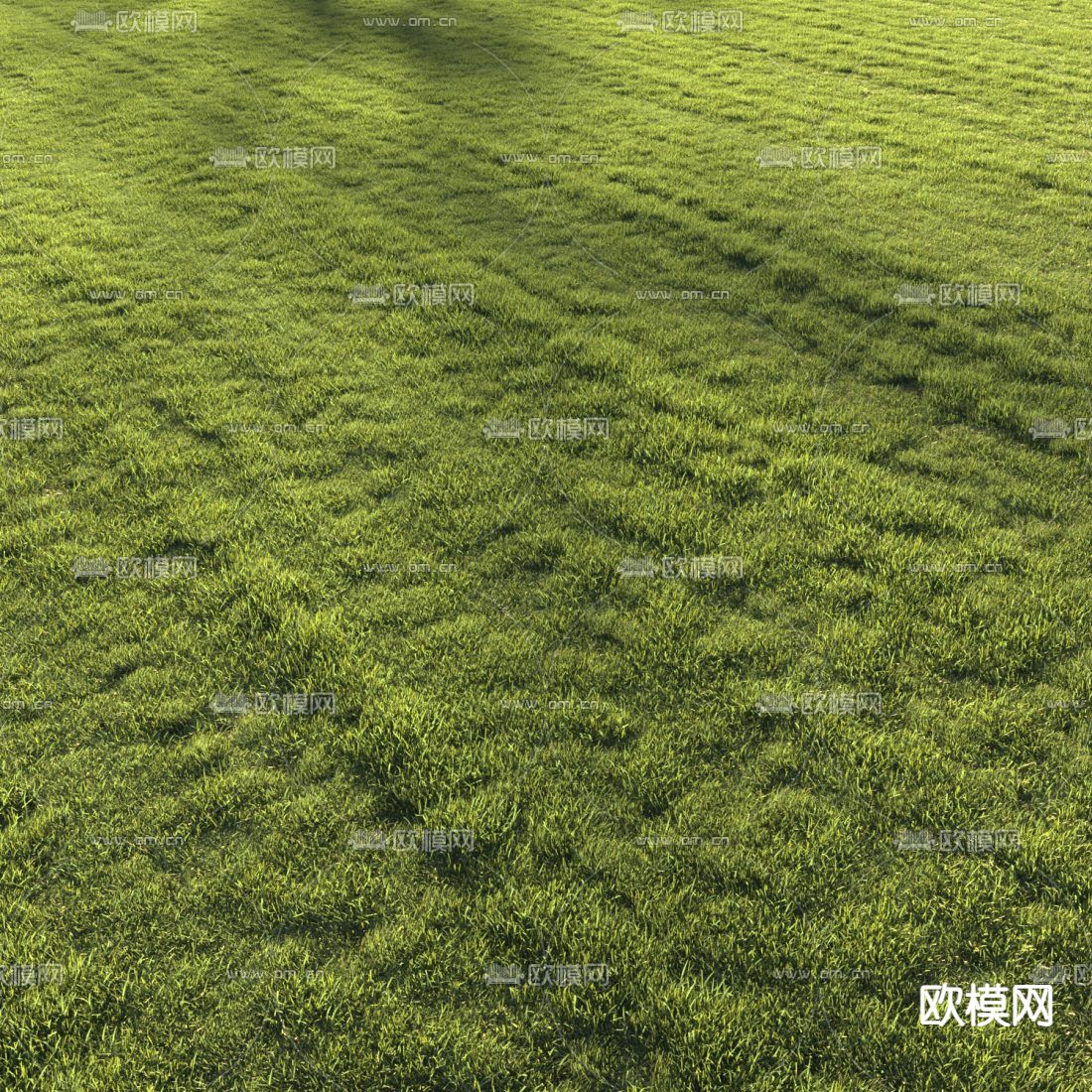 现代草坪草地3d模型下载（渲染图3）