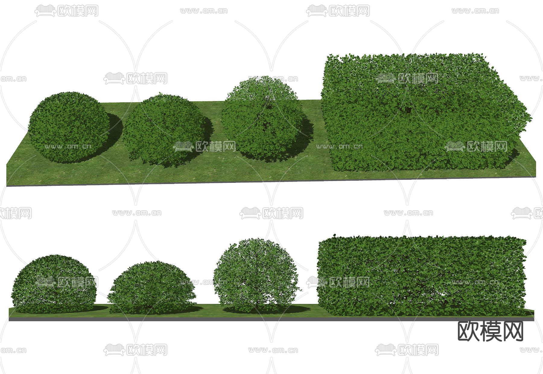 现代灌木su模型下载（渲染图1）