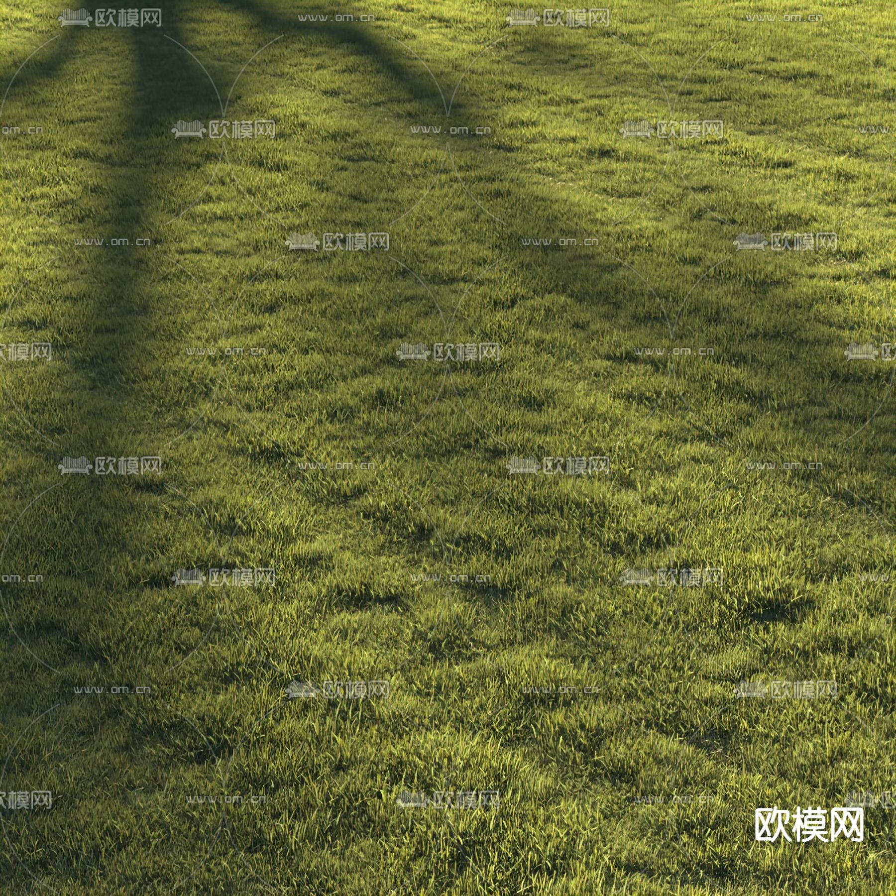 现代草坪草地3d模型下载（渲染图1）
