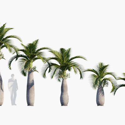  现代棕榈su模型 