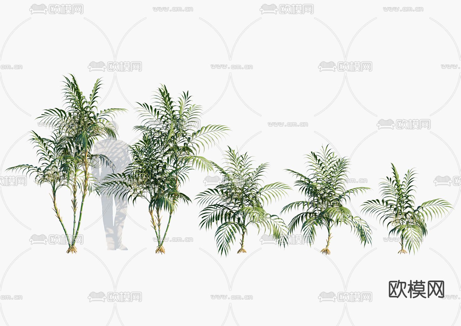 现代棕榈树su模型下载（渲染图1）