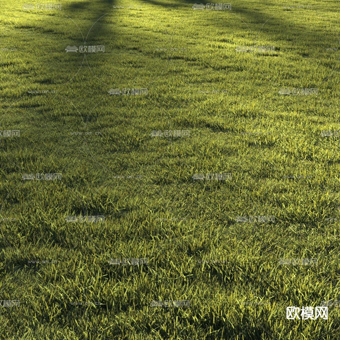 现代草坪草地3d模型下载（渲染图4）