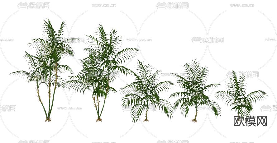 现代棕榈树su模型下载（渲染图2）