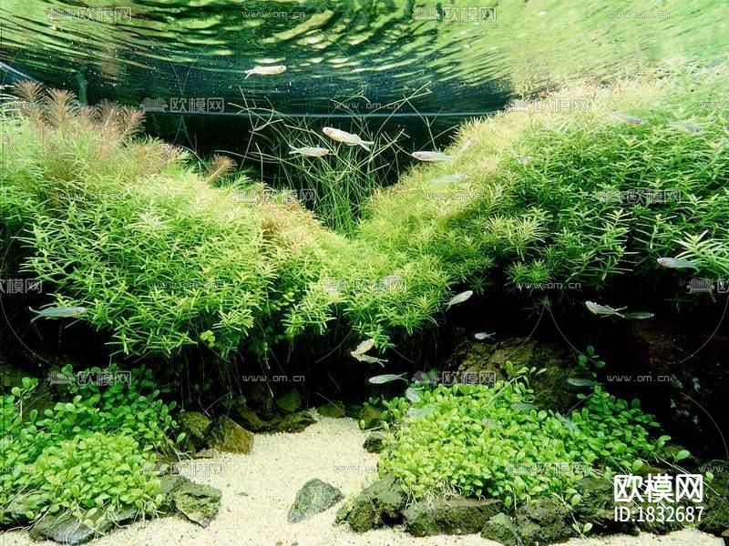 鱼缸贴图下载