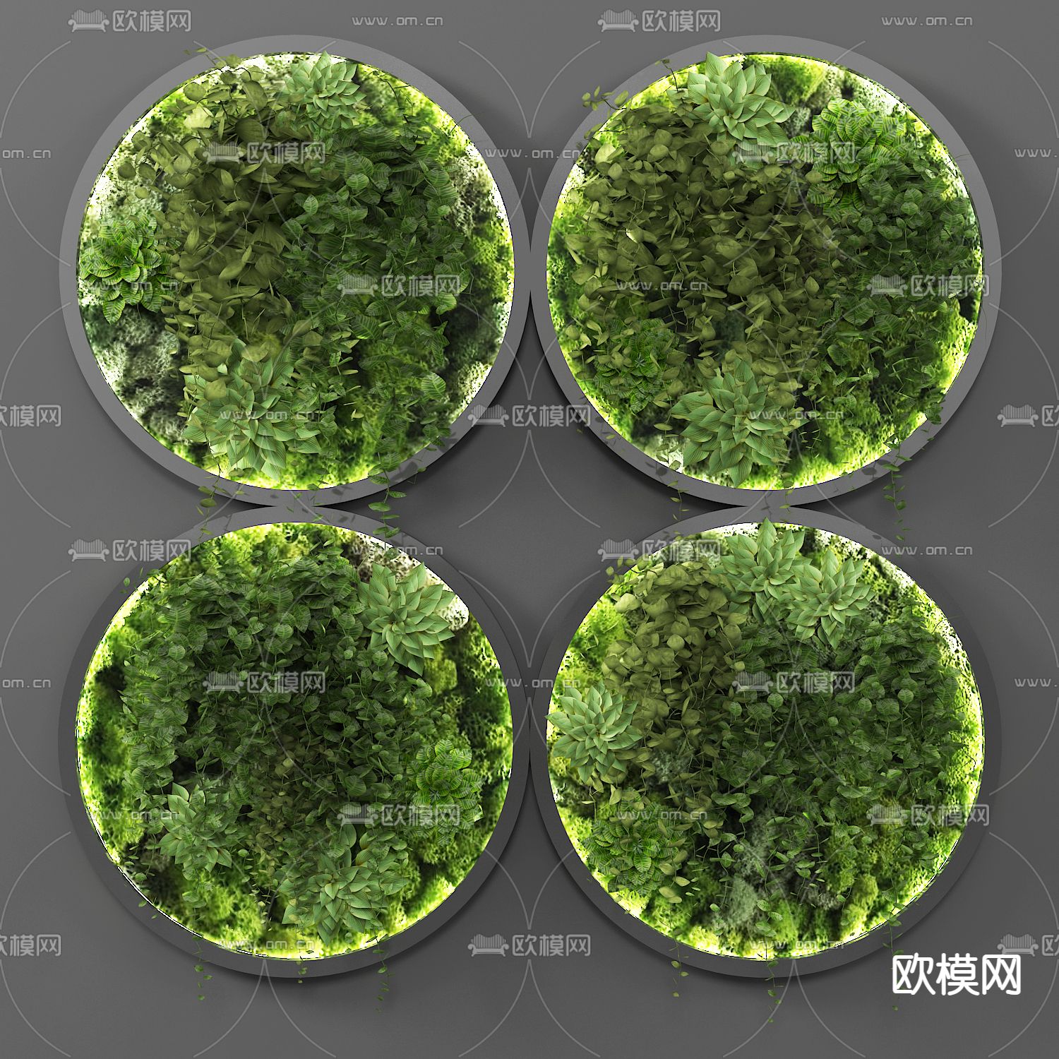 现代圆形植物墙挂件3d模型