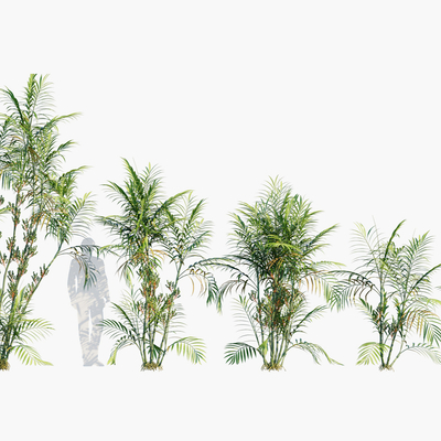  现代棕榈su模型 