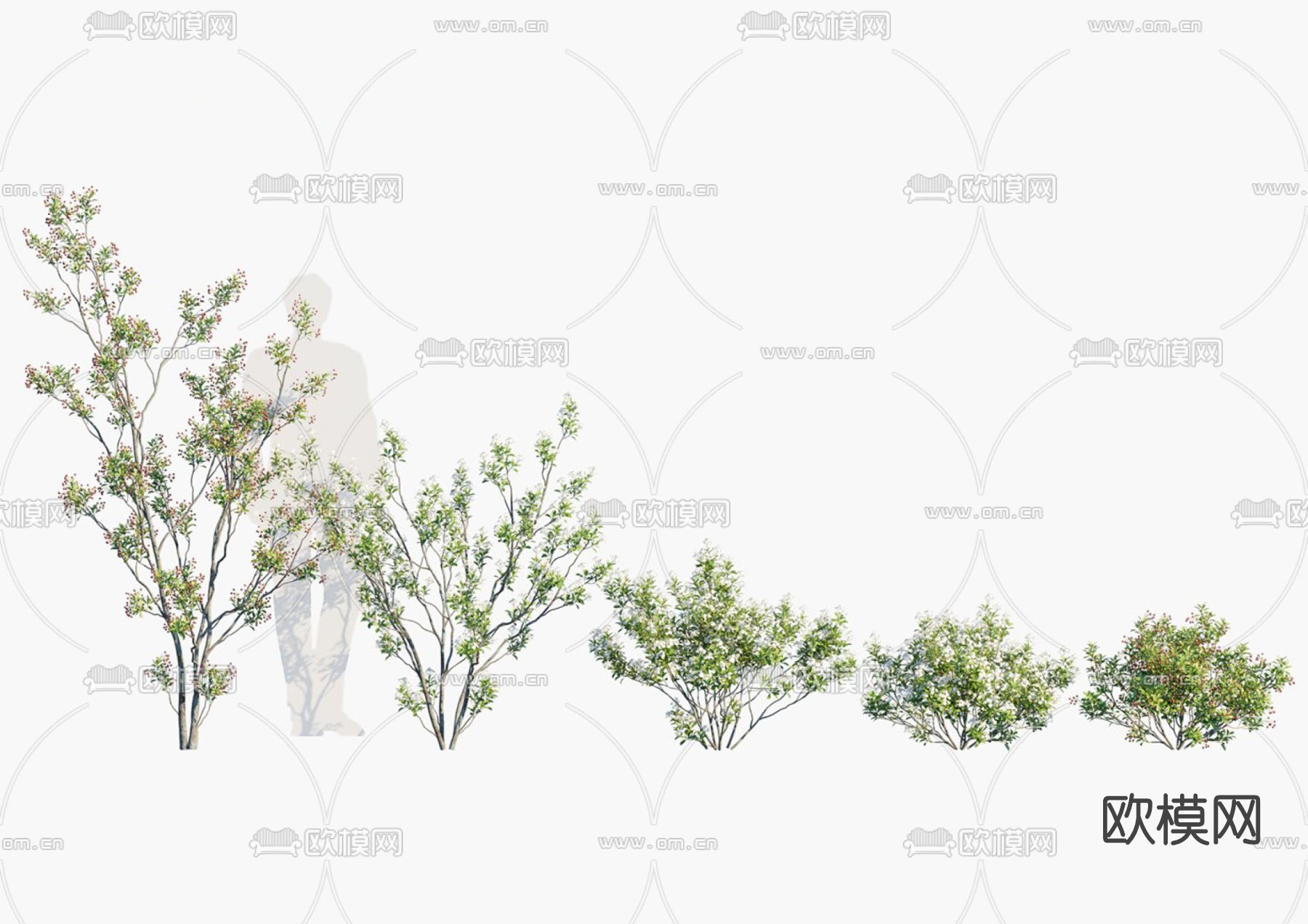 现代灌木丛su模型下载