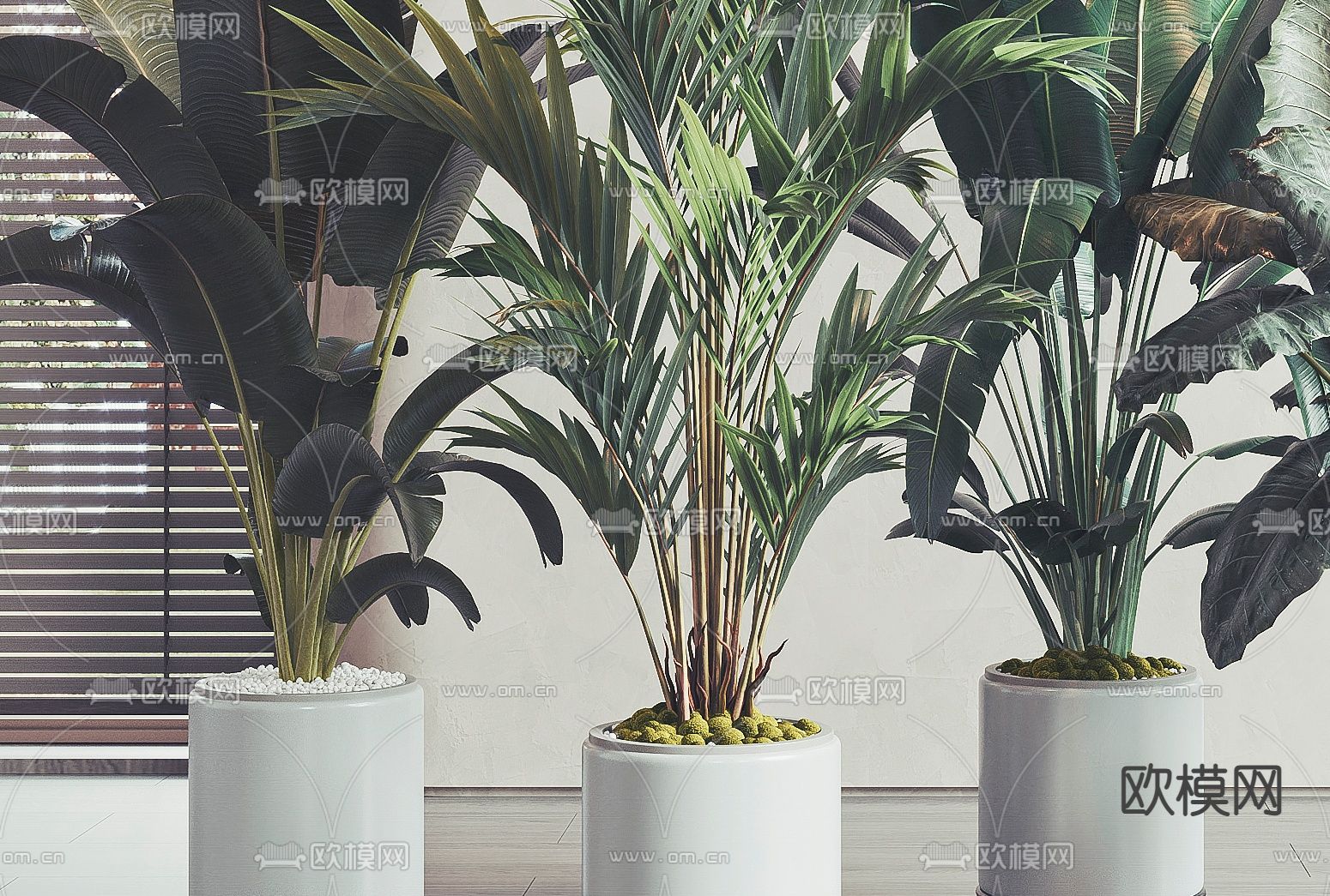 现代绿植盆栽3d模型下载（渲染图2）