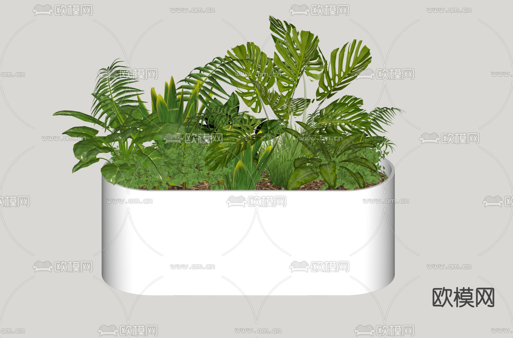 现代景观绿植su模型下载