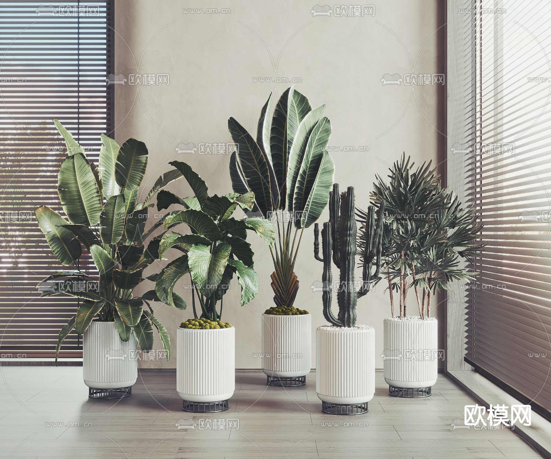 现代绿植盆栽3d模型下载（渲染图1）