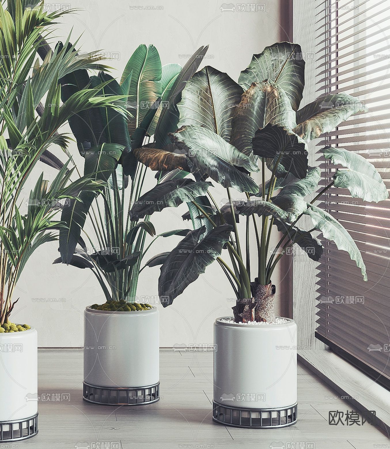 现代绿植盆栽3d模型下载（渲染图3）