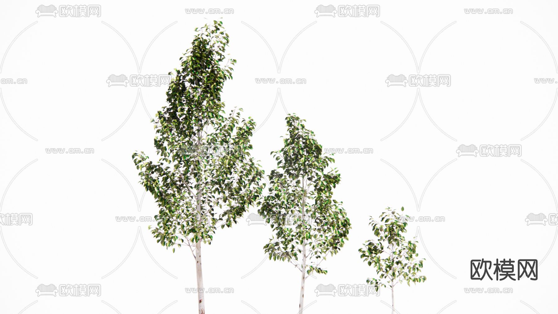 现代绿植树su模型下载