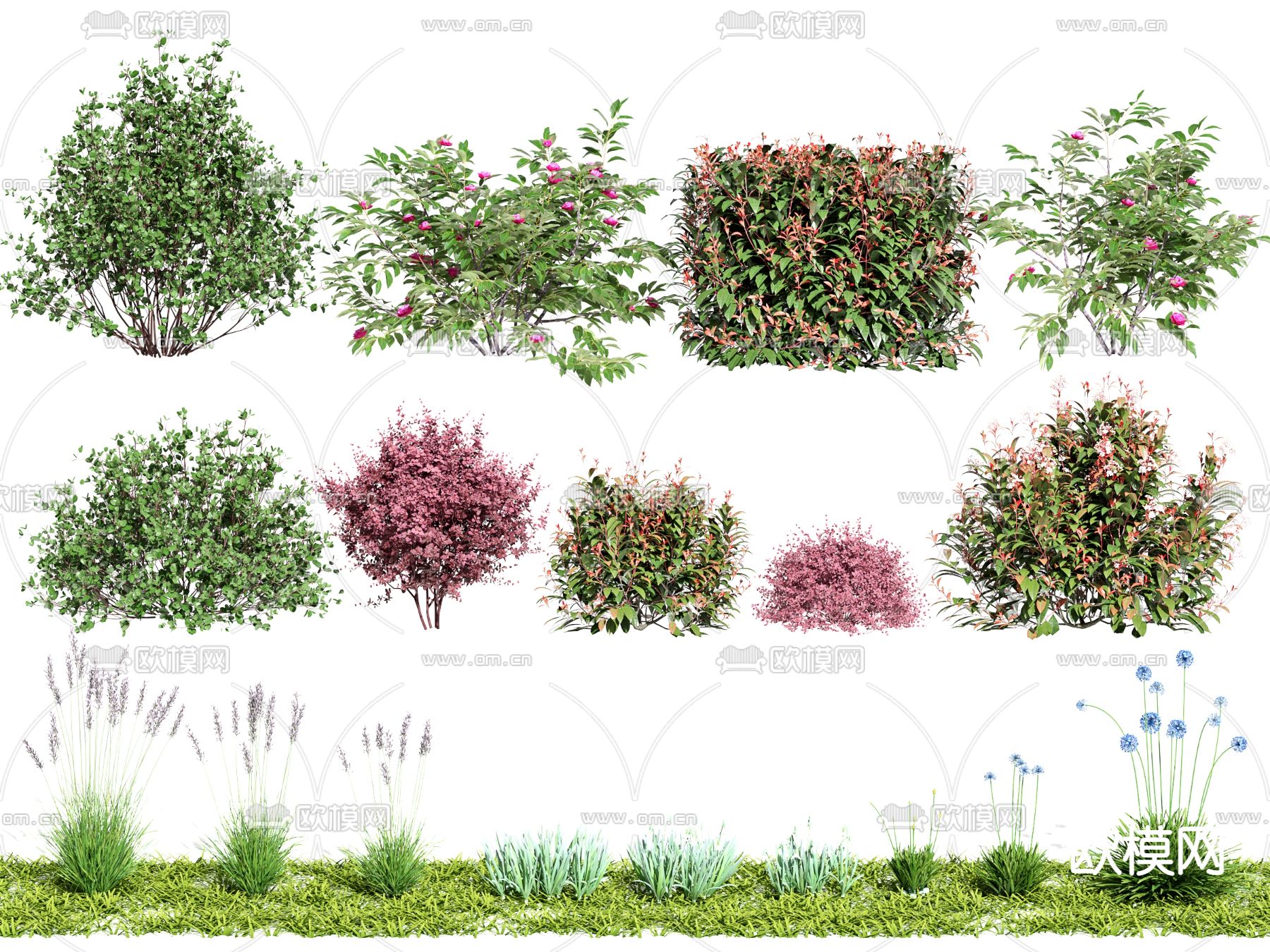 现代植物灌木3d模型