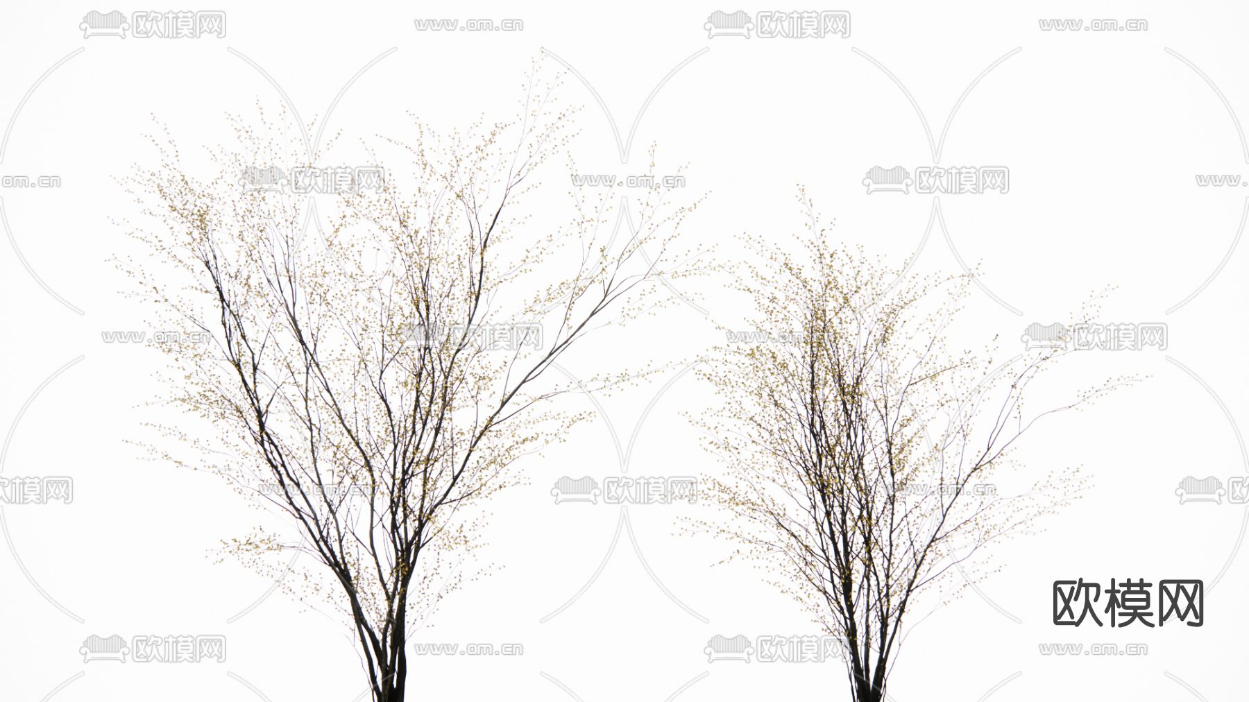 现代景观树su模型下载