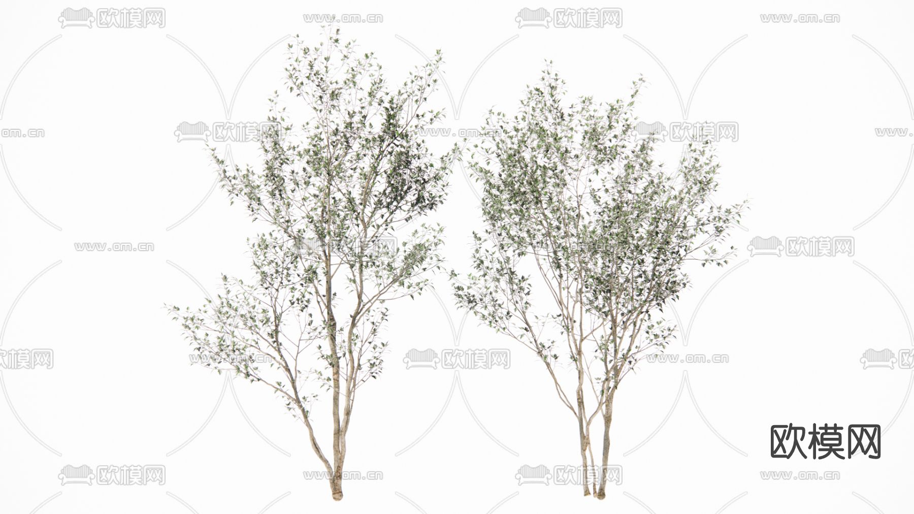 现代绿植树su模型