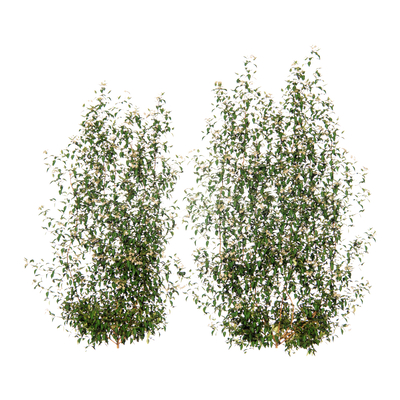  现代绿植墙su模型 