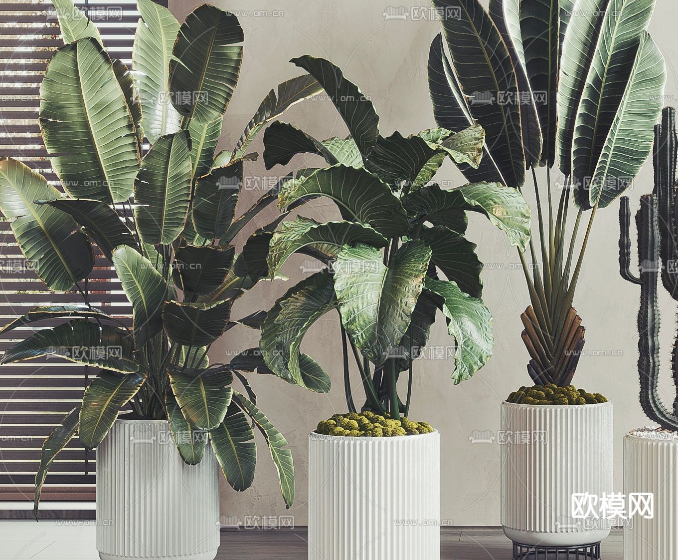 现代绿植盆栽3d模型下载（渲染图2）