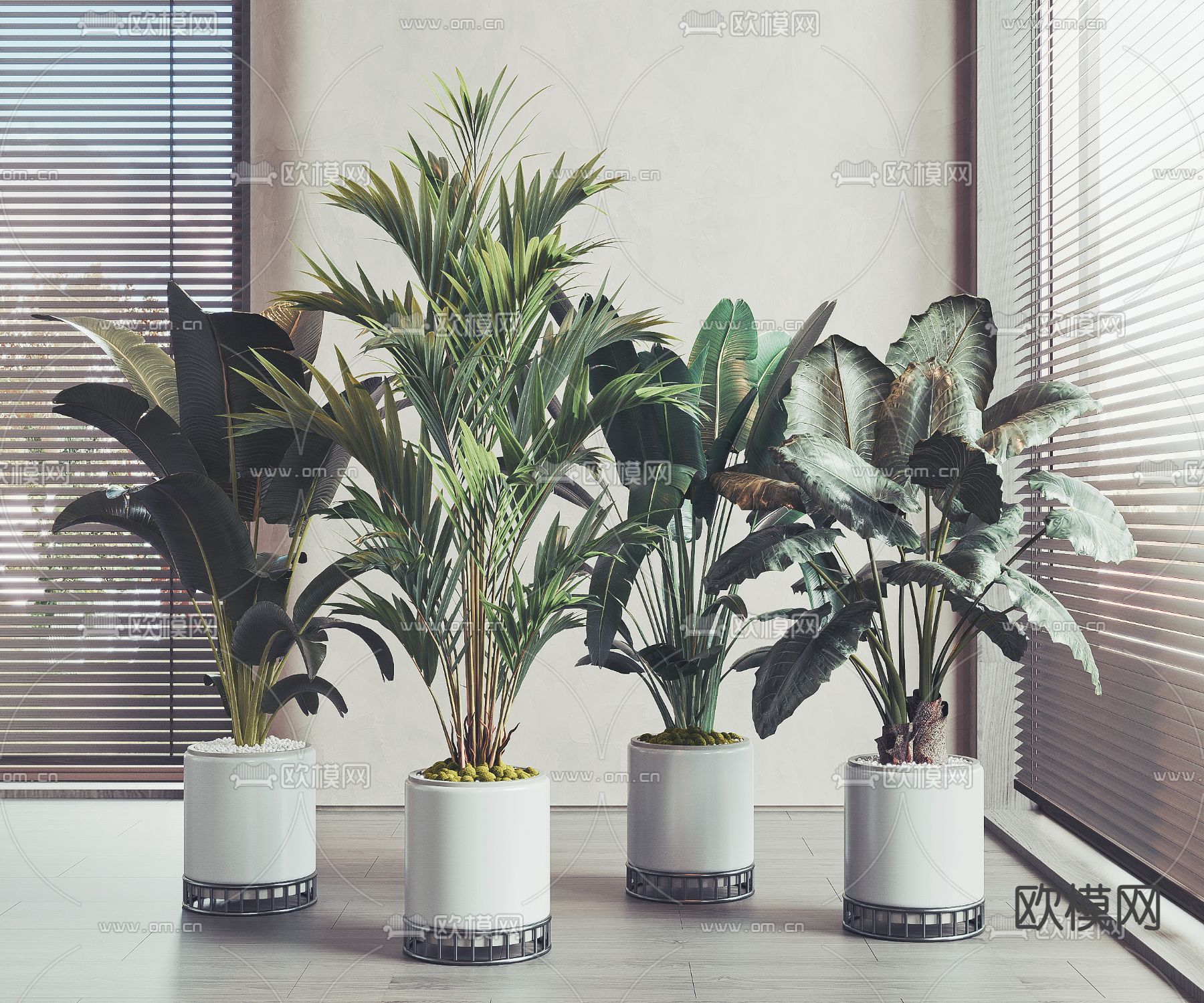 现代绿植盆栽3d模型下载（渲染图1）
