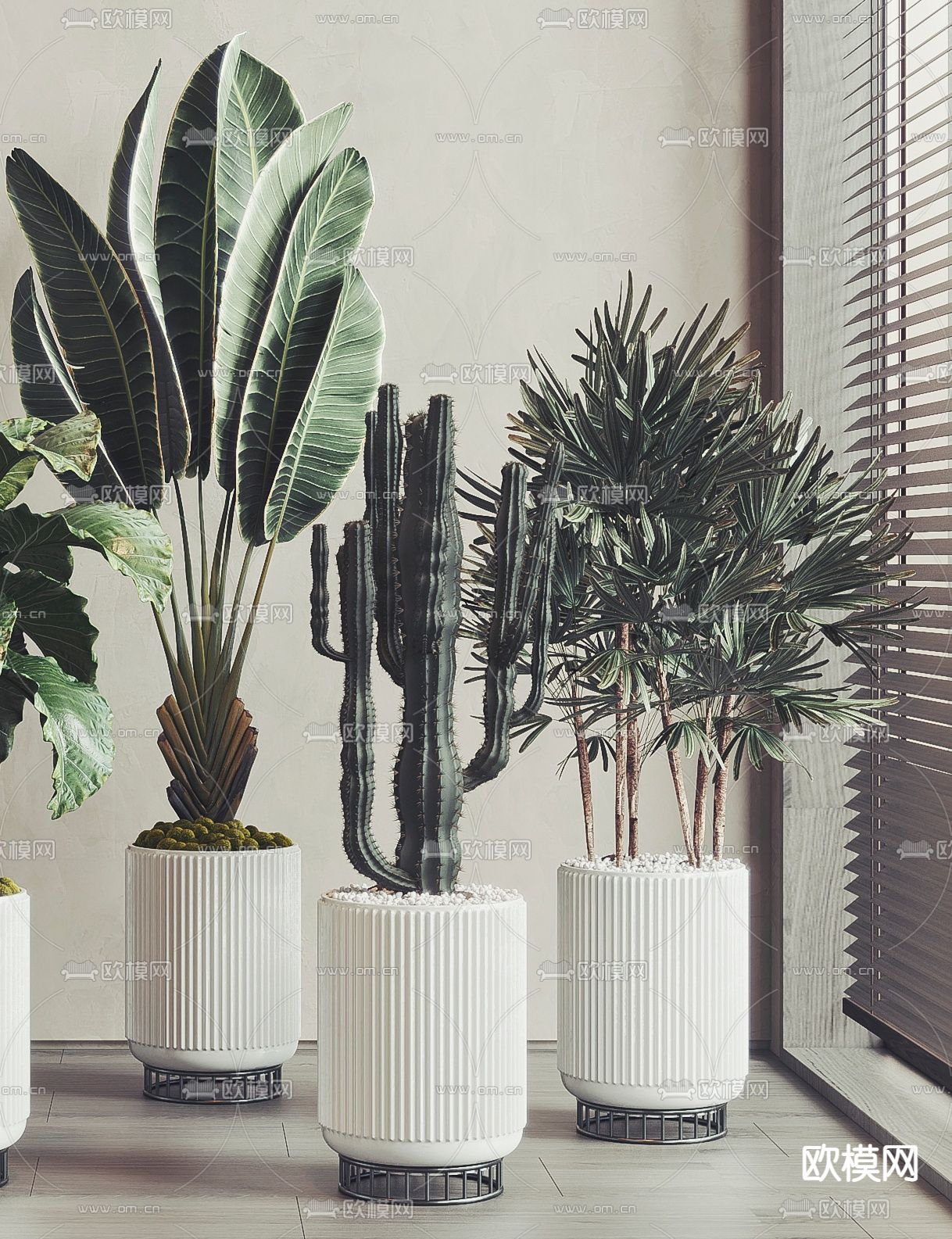 现代绿植盆栽3d模型下载（渲染图3）