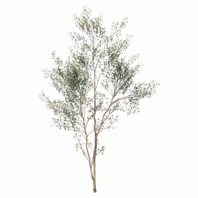  现代绿植树su模型 