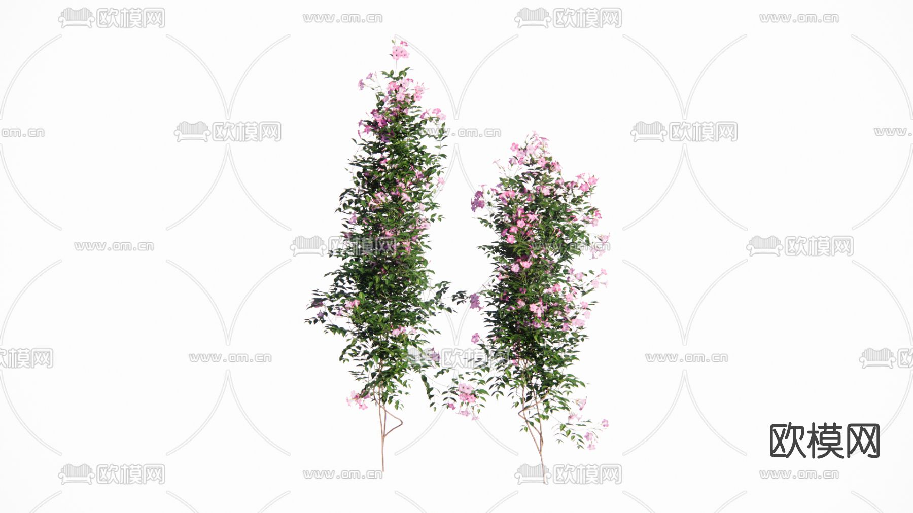 现代灌木su模型