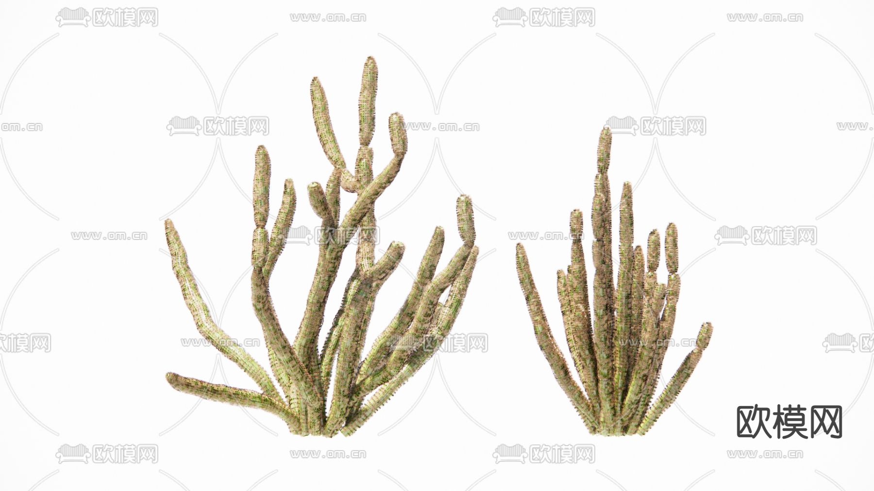 现代仙人掌su模型下载