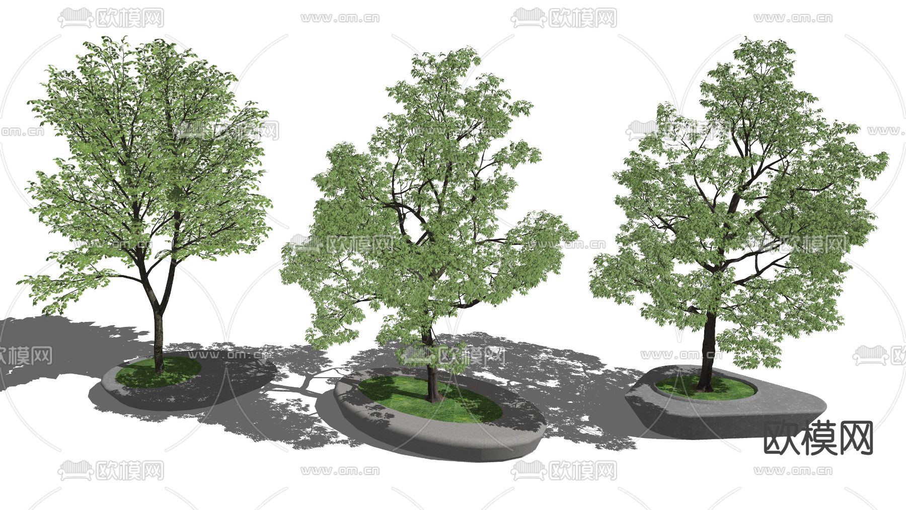 现代景观树su模型下载（渲染图3）