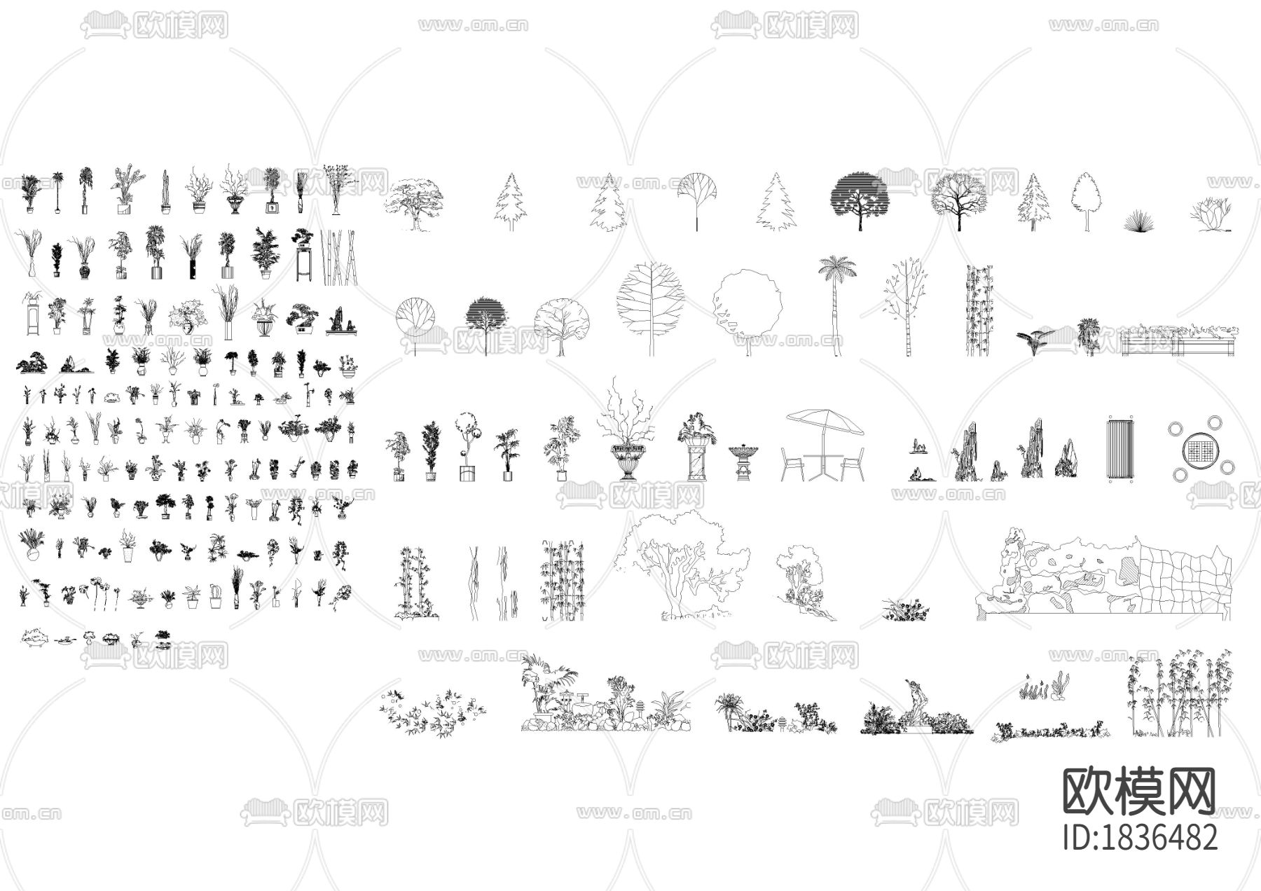 绿化植物立面cad图库下载（渲染图1）